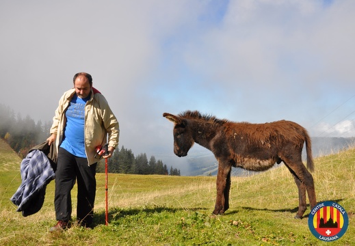 04.10.2015 Excursió a la Dent de Lys
