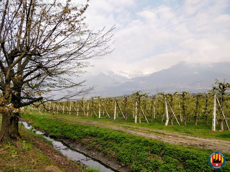 20190413_Excursioo_a_Nendaz_01.jpg