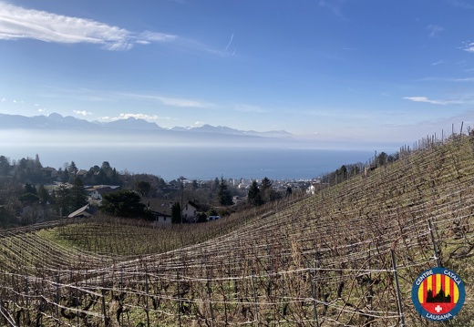 05.02.2023 Recollida de sarments