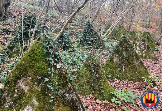 20251109 Le Sentier des Toblerone 01