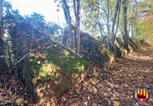 20251109 Le Sentier des Toblerone 03