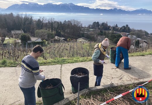 20260222 Recollida de sarments 03