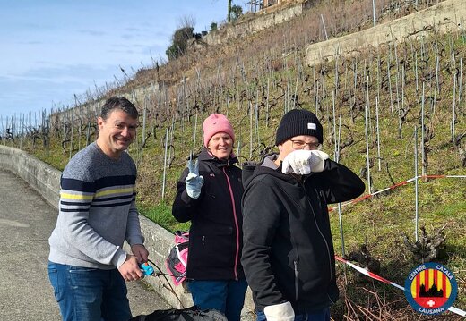 20260222 Recollida de sarments 04