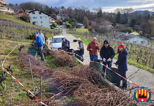 22.02.2026 Recollida de sarments