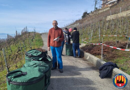 20260222 Recollida de sarments 07