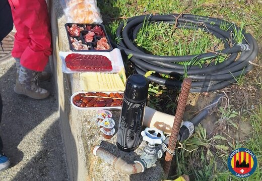 20260222 Recollida de sarments 08